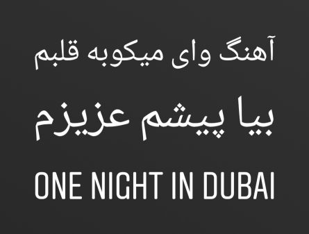 دانلود آهنگ وای داره میکوبه قلبم بیا پیشم عزیزم (One Night In Dubai)